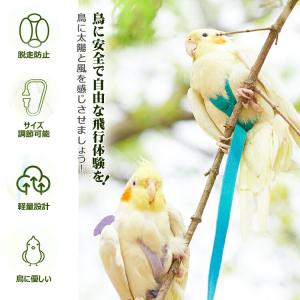 鳥用ハーネス2点セット 鳥用ハーネス+リード ...の詳細画像2