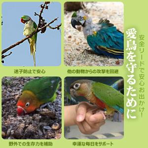 鳥用ハーネス2点セット 鳥用ハーネス+リード ...の詳細画像3