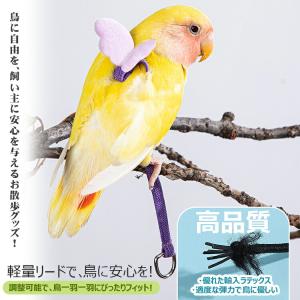 鳥用ハーネス2点セット 鳥用ハーネス+リード ...の詳細画像4
