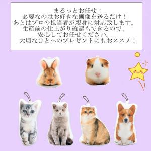 ペット オリジナルクッション ミニキーホルダー...の詳細画像2