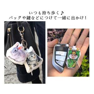 ペット オリジナルクッション ミニキーホルダー...の詳細画像4