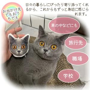ペット オリジナルクッション ミニキーホルダー...の詳細画像5