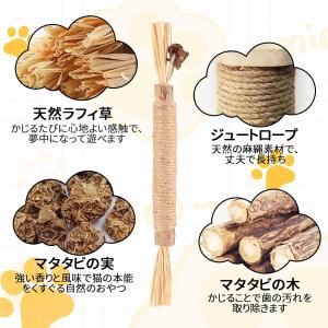 猫 噛むおもちゃ またたび 猫 歯磨き 歯ぎし...の詳細画像3