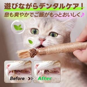 猫 噛むおもちゃ またたび 猫 歯磨き 歯ぎし...の詳細画像4