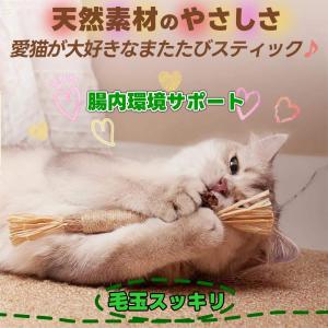 猫 噛むおもちゃ またたび 猫 歯磨き 歯ぎし...の詳細画像5
