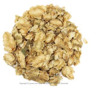 ホップ　業務用500g 西洋唐花草 セイヨウカラハナソウ ホップ茶 ホップティーハーブティー ドライハーブ ハーブ茶 健康茶 茶葉 お茶 ハーバリウム花材