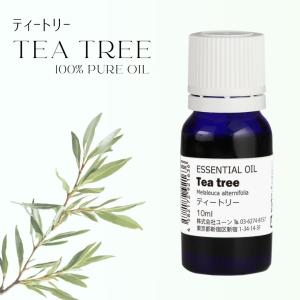 ティートリーオイル 10ml teatree ティーツリーオイル ティートゥリーオイル アロマオイル エッセンシャルオイル 精油 天然100%