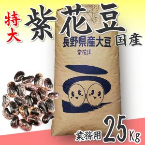 紫花豆特大 業務用25Kg 高原花豆 大粒 国産むらさきはなまめ