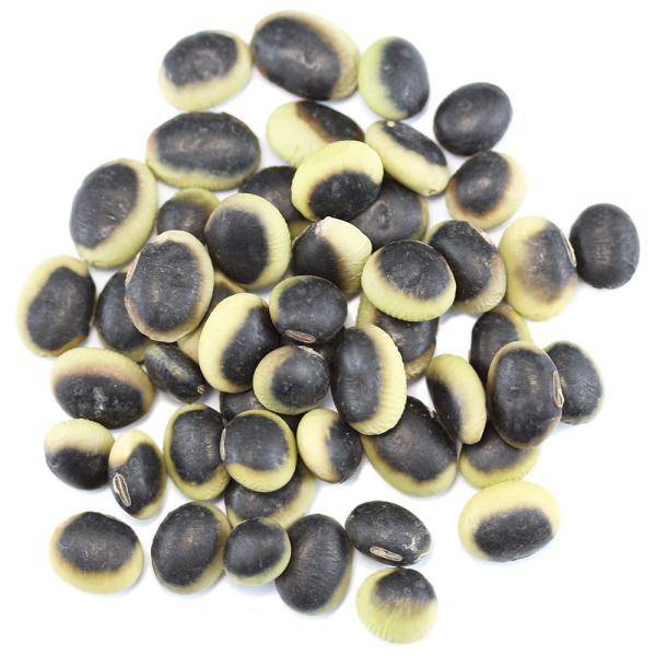 鞍掛豆長野県産 業務用1Kg 国産くらかけ豆  パンダ豆 青大豆 ひたし豆 浸し豆 鞍掛大豆 くらか...