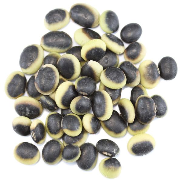 鞍掛豆長野県産 業務用5Kg 国産くらかけ豆  パンダ豆 青大豆 ひたし豆 浸し豆 鞍掛大豆 くらか...