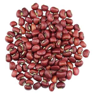 ささげ 岡山県産備中ダルマささげ豆国産 お試し 200g 国内産大角豆 お赤飯用豆 乾物豆類乾燥豆 新豆 新物 令和3年産 敬老の日 お祝い