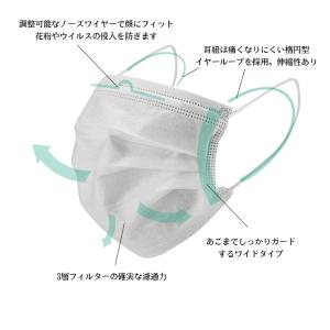 マスク 50枚入り 在庫あり 即納 送料無料 ...の詳細画像4