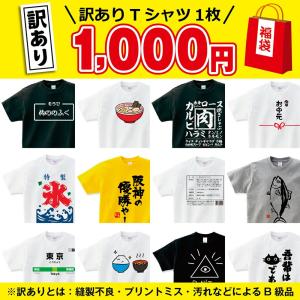 【1000円ポッキリ】福袋 訳あり 正月 2025年 おもしろTシャツ おもしろ tシャツ 新春 福袋 ポイント消化 送料無料 雑貨 プチギフト Tシャツ お試し メンズ