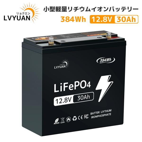 LVYUAN LiFePO4（リン酸鉄リチウム）電池 リチウムイオンバッテリー 12V 30AH 1...