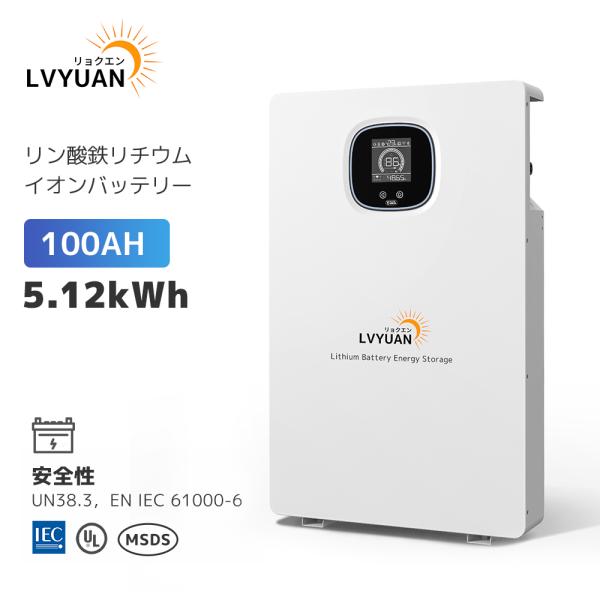 LVYUAN リン酸鉄リチウムイオンバッテリー 51.2V 100AH 5.12kWh LiFePO...