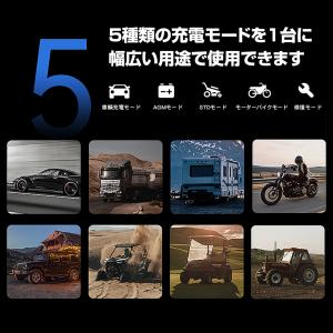LVYUAN 全自動 バッテリー充電器 パルス...の詳細画像2