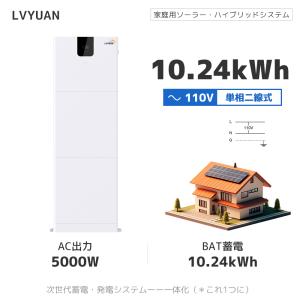 LVYUAN 蓄電池 10.24kWh 縦型ハイブリッド蓄電システム ハイブリッドインバーター エネルギー蓄電装置 太陽光発電 リン酸鉄リチウム電池×2 200AH｜shoryu-store