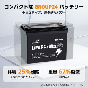 LVYUAN LiFePO4(リン酸鉄リチウム...の詳細画像1