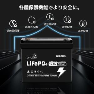 LVYUAN LiFePO4(リン酸鉄リチウム...の詳細画像3