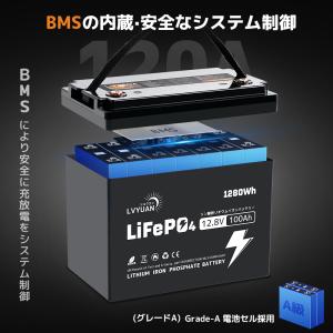 LVYUAN LiFePO4(リン酸鉄リチウム...の詳細画像5