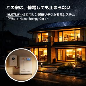 LVYUAN 51.2V 314AH 15.3...の詳細画像2