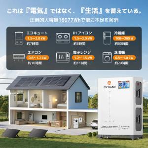 LVYUAN 51.2V 314AH 15.3...の詳細画像3