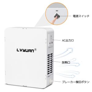 LVYUAN 変圧器 1000W おしゃれ 昇...の詳細画像2