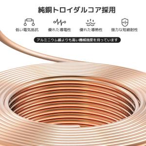 LVYUAN 変圧器 1000W おしゃれ 昇...の詳細画像4