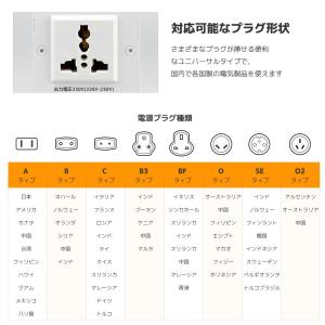 LVYUAN 変圧器 1000W おしゃれ 昇...の詳細画像5