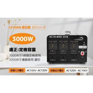 LVYUAN アメリカ国内両用型変圧器 降圧・...の詳細画像1