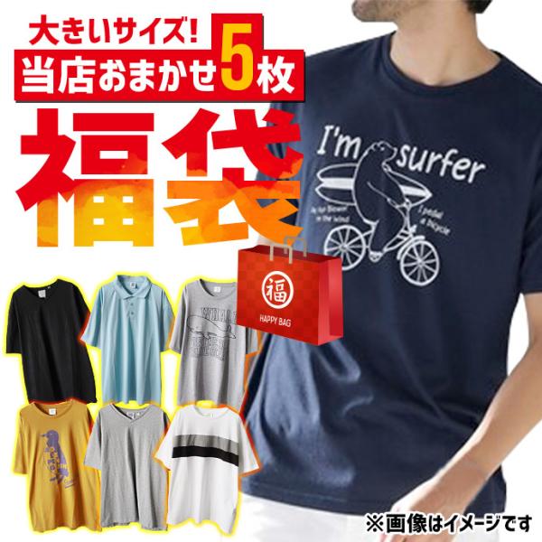 メンズ ビッグサイズ 大きいサイズ Tシャツ ポロシャツ 半T プリント 福袋 ランダム おまかせ ...