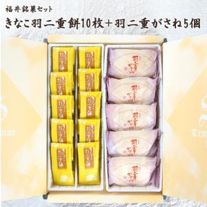 福井伝統銘菓セット 羽二重餅(きなこ)10枚+羽二重がさね5個｜shoufukudou