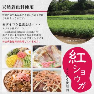 紅ショウガ 600g 1袋 ゆうパケット送料無...の詳細画像1