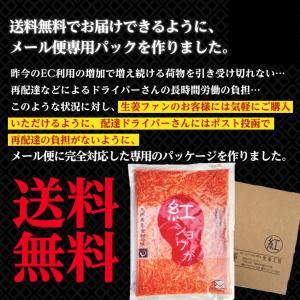 紅ショウガ 600g 1袋 ゆうパケット送料無...の詳細画像2