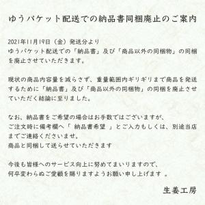 紅ショウガ 600g 1袋 ゆうパケット送料無...の詳細画像4