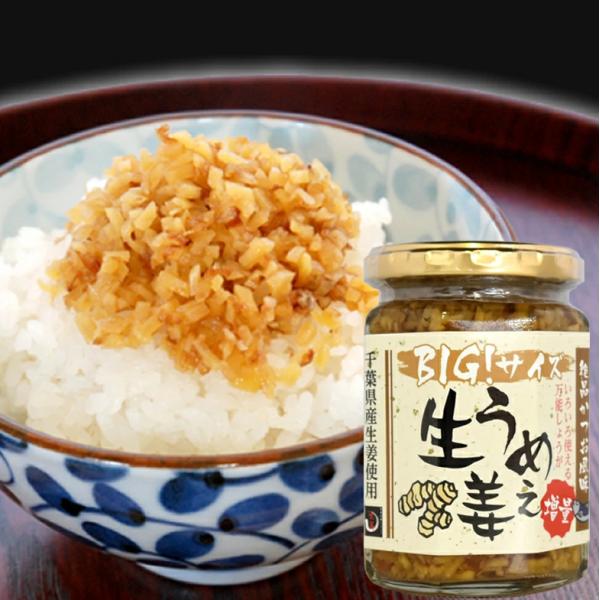[訳あり]BIGサイズ うめぇ生姜（鰹・しそ・梅）240g 1本[賞味期限しそうめ2026年5月21...