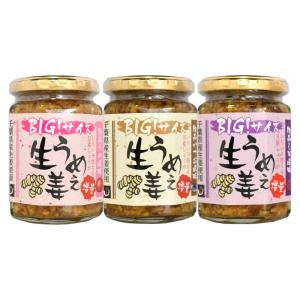 [同シリーズ135g鰹がNIKKEIプラス1掲載]うめぇ生姜BIG(鰹紫蘇梅) 3種セット送料無料(沖縄を除く)