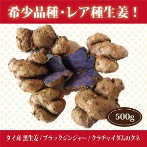 タイ産 黒生姜/ブラックジンジャー/クラチャイ...の詳細画像2