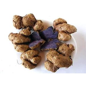 種生姜 中国産近江生姜(黄)10kg : 生姜工房 - 通販 - Yahoo 種生姜 中国産近江生姜(黄)10kg : 生姜工房 - 通販 - Yahoo