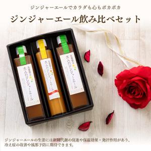 乙 30°南風 泡盛 600ml(泡盛) 沖縄県酒造協同組合 返品種別B : Joshin