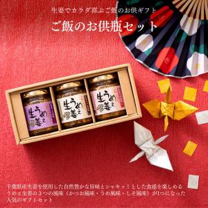 3袋セット 】 発酵本家の味噌汁 83.5g 約10食分 和心本舗 インスタント