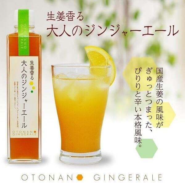 大人のジンジャーエール 370g 1本[11スパイスコーラの日対象商品]