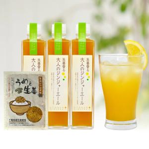 大人のジンジャーエール 370ｇ 3本 + うめえ生姜エコパック1袋  送料無料(沖縄、離島を除く)[ジンジャーエール]