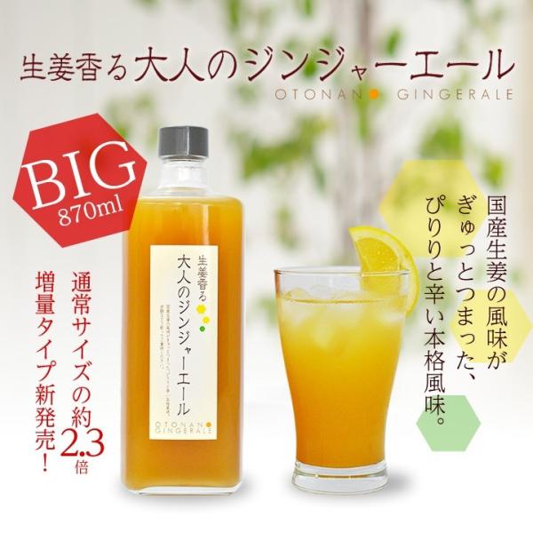 業務用 大人のジンジャーエール 870g 1本[11スパイスコーラの日対象商品]