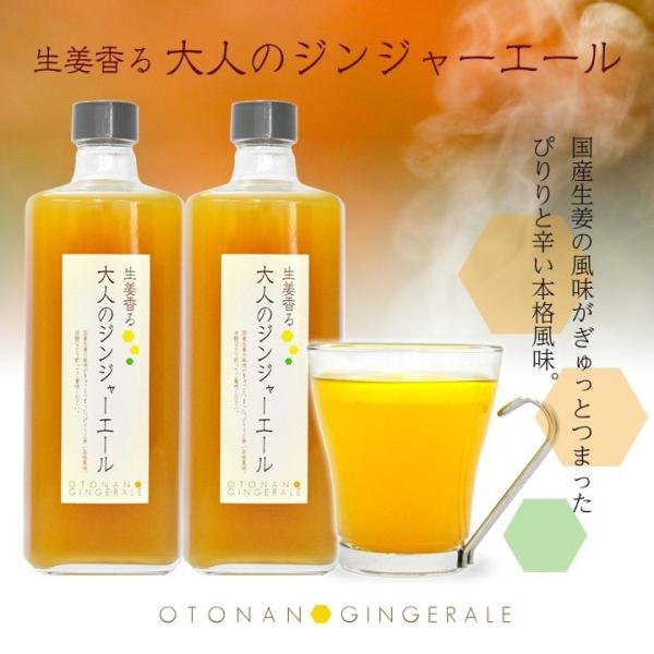 業務用 大人のジンジャーエール 870g 2本 送料無料(沖縄、離島を除く)[11スパイスコーラの日...