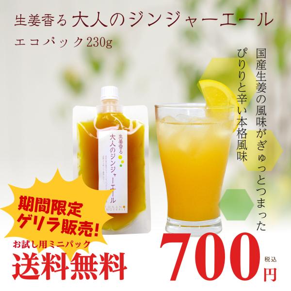 大人のジンジャーエール ミニパック230g 1パック ゆうパケット送料無料
