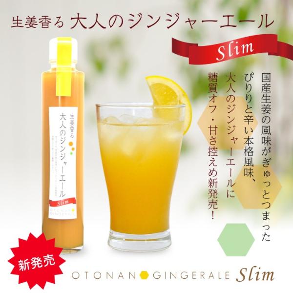 大人のジンジャーエールSlim 225g 1本