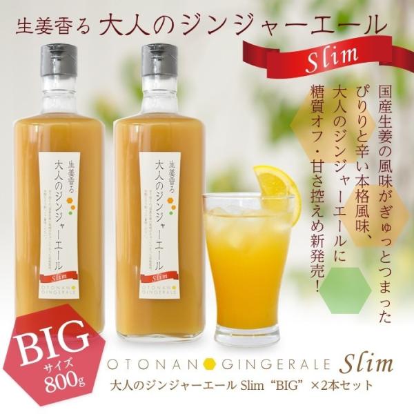 業務用 大人のジンジャーエールSlim 800g 2本 送料無料(沖縄、離島を除く)[11スパイスコ...