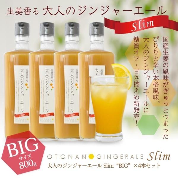 業務用 大人のジンジャーエールSlim 800g 4本 送料無料(沖縄、離島を除く)[11スパイスコ...