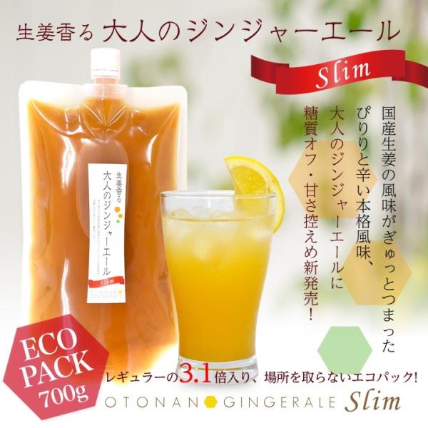 大人のジンジャーエールSlim エコパック 700ｇ 1パック ゆうパケット送料無料[11スパイスコ...